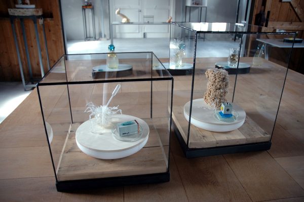 tentoonstelling BioArt in vitrine glas in lood