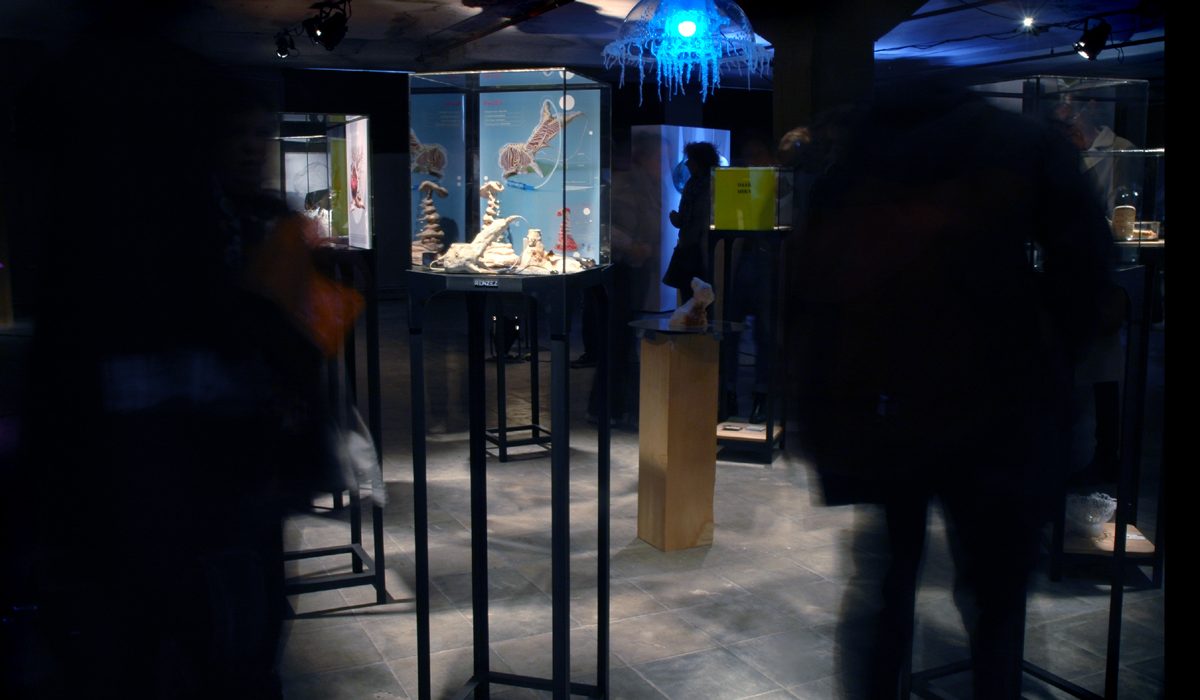 dutch design vitrines